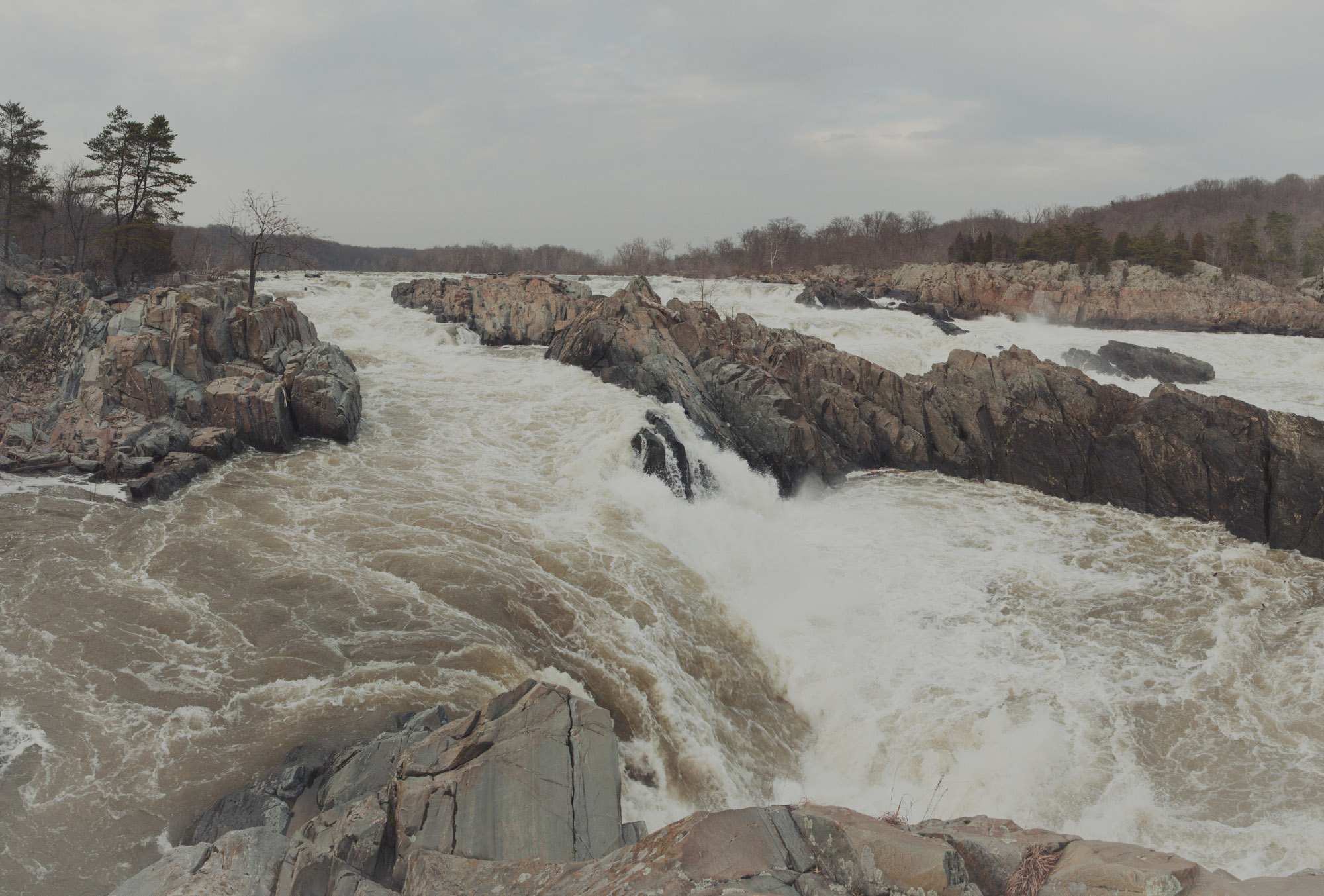 greatfallspano_